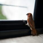 a bird sitting on a window sill