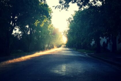 low-light photo of gray pavement