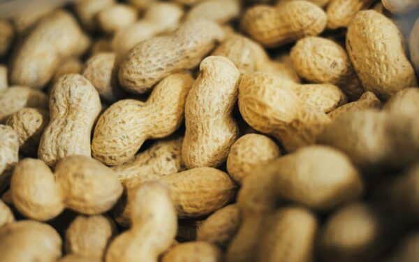 Peanut Shell Waste Could Become a New Source of Graphene, and the Production Method Looks Surprisingly Practical