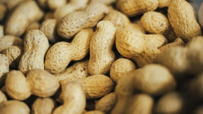 Peanut Shell Waste Could Become a New Source of Graphene, and the Production Method Looks Surprisingly Practical